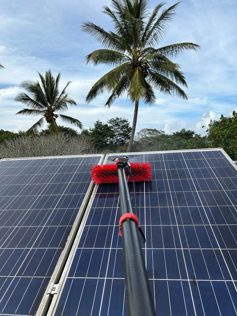 Solar panels being cleaned beneath palms on Oahu